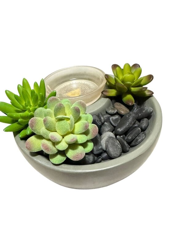 Scentsy Other - Little Garden Scentsy Wax Warmer w/ Box Succulents Pebbles Spring Summer Works